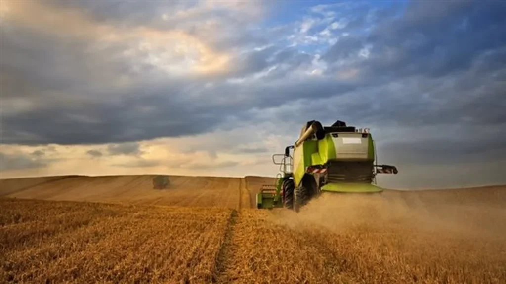 أعلى مستوى تاريخي.. أسعار القمح تقفز ببورصة يورونكست إثر طلبات السعودية والجزائر